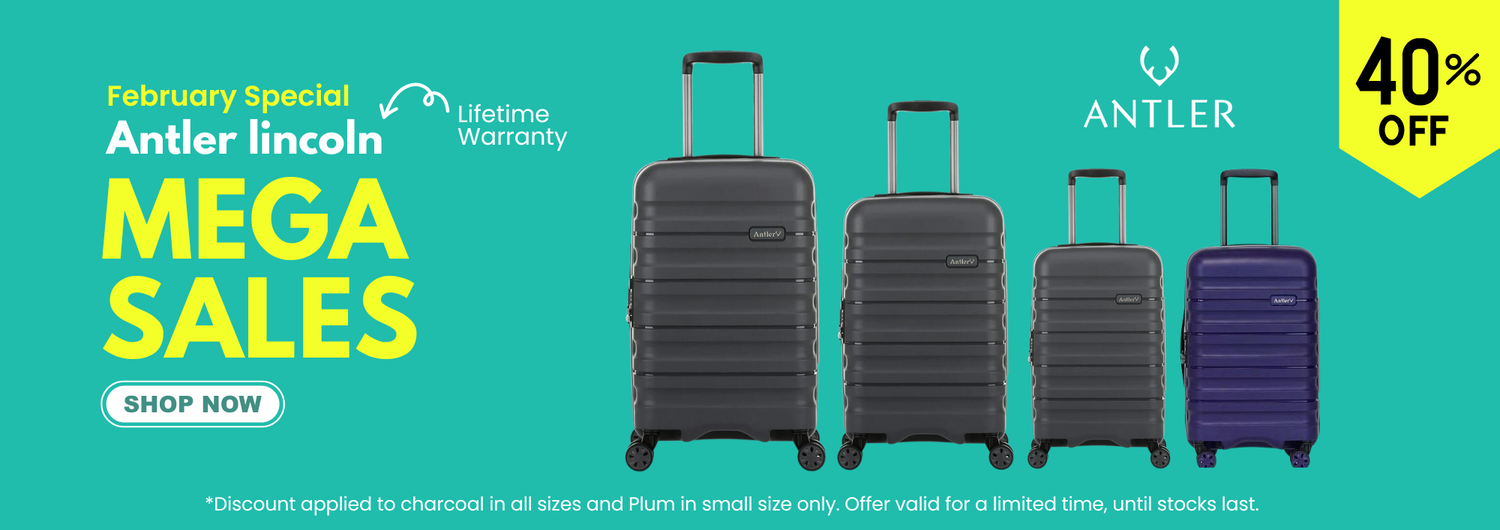 Travel bags 2025 online shopping